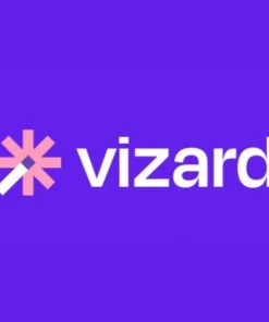 vizard-ai-group-buy